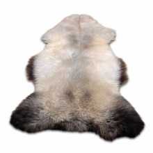 White/brown Texel's furry sheepskin